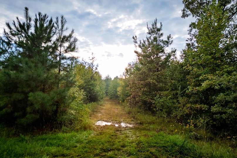 51 DJI_20251007174756_0377_D-2