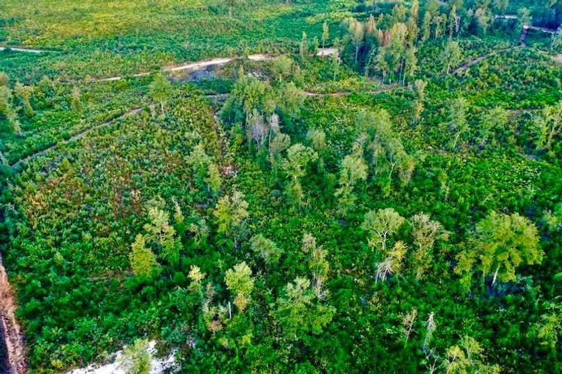 8E00665C-BEF2-45C4-91D8-D92519F3410B_1_105_c