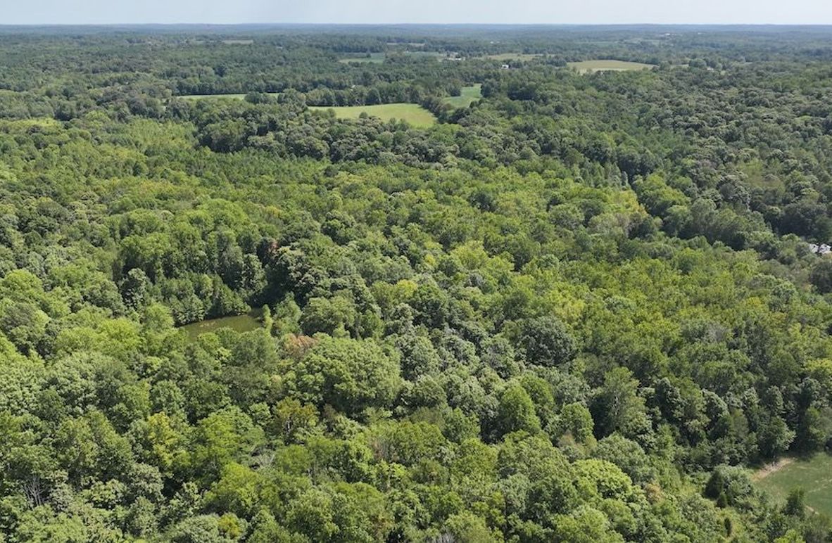 dji_fly_20240904_132624_0368_1725471196477_photo