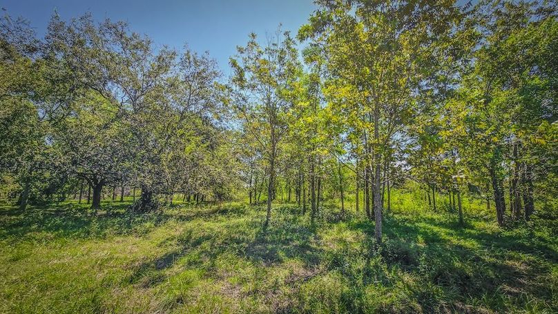 Copy of 20240909_115806