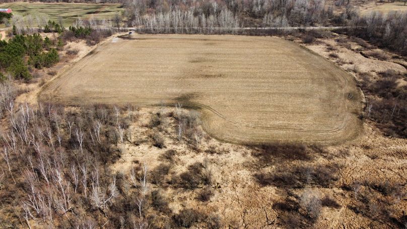 dji_fly_20230413_105536_341_1681401657604_photo_optimized