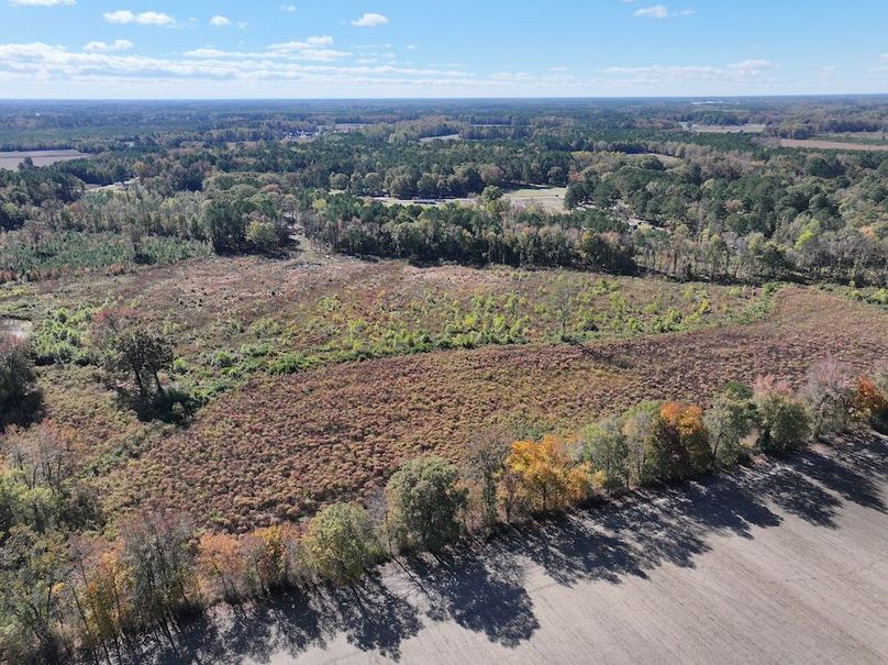 DJI_20251018123912_0141_D