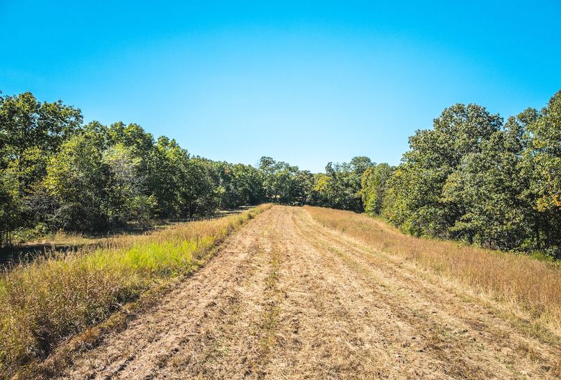 DJI_20251009064835_0660_D