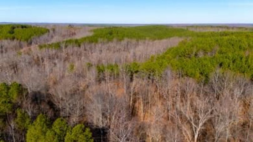 MCKINNON TRACT 29-24