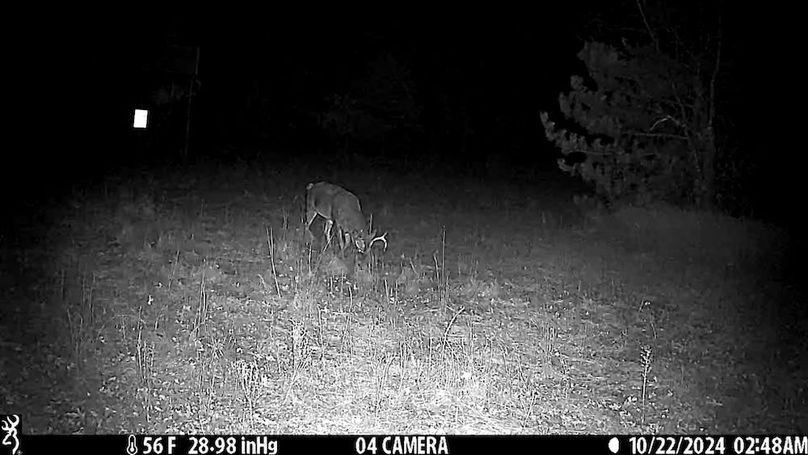 Juneau 27 Wiesner -118