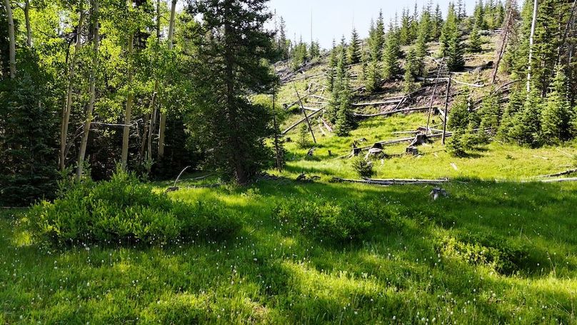 DJI_20250628092214_0236_D