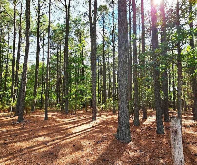 6.39ac_PineTopRd_LOT 1_Dorchester_09
