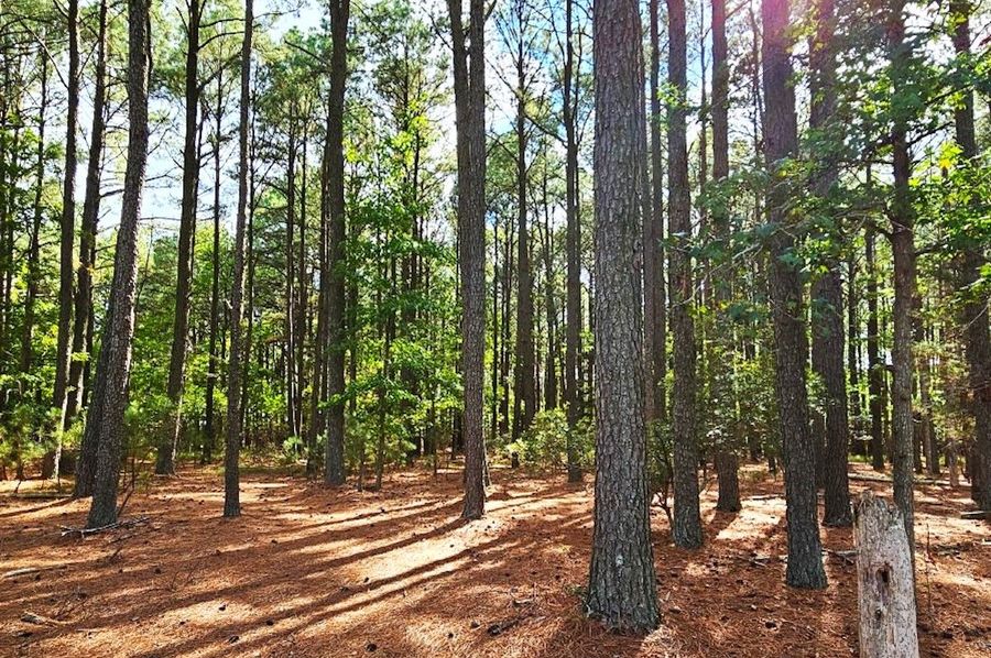 6.39ac_PineTopRd_LOT 1_Dorchester_09