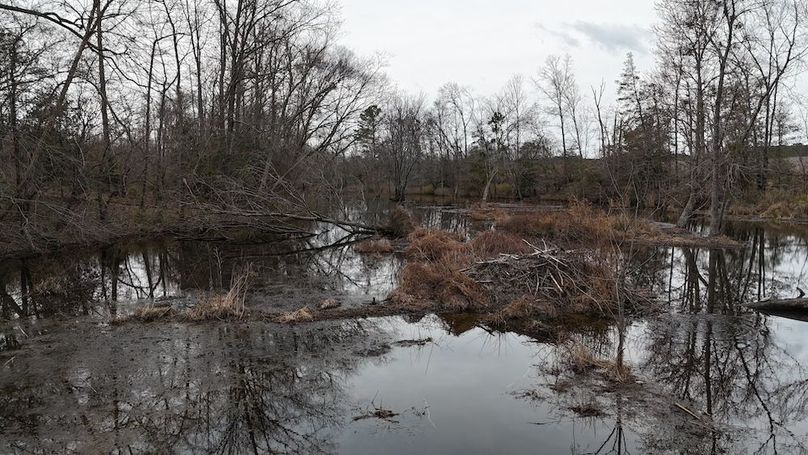 dji_fly_20260218_164650_0038_1771452054042_photo