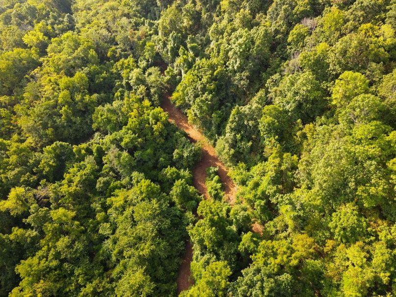 dji_fly_20250826_084106_698_1756215679215_photo