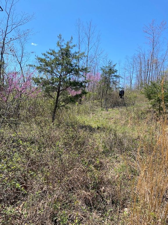 Carter Gordon 70 +_- 005