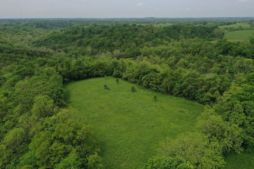 003 aerial drone shot of the of the east tract on the ridge
