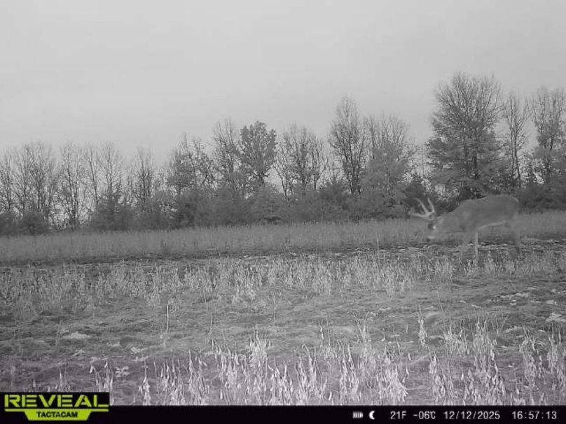 865814042165447-100-1-12122025165712-W1001339