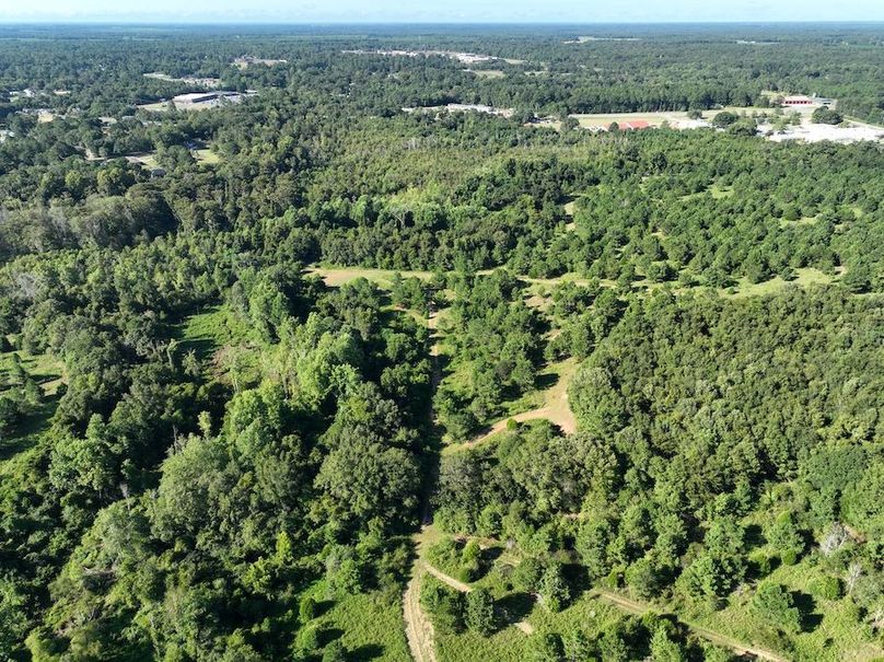 dji_fly_20240827_095138_733_1724766988909_photo