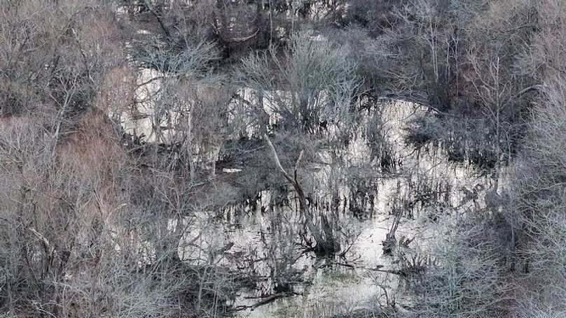 Phillips 8.5 Trahan -16