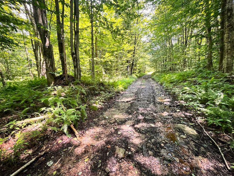 Oswego_100_Roof_Photos_48