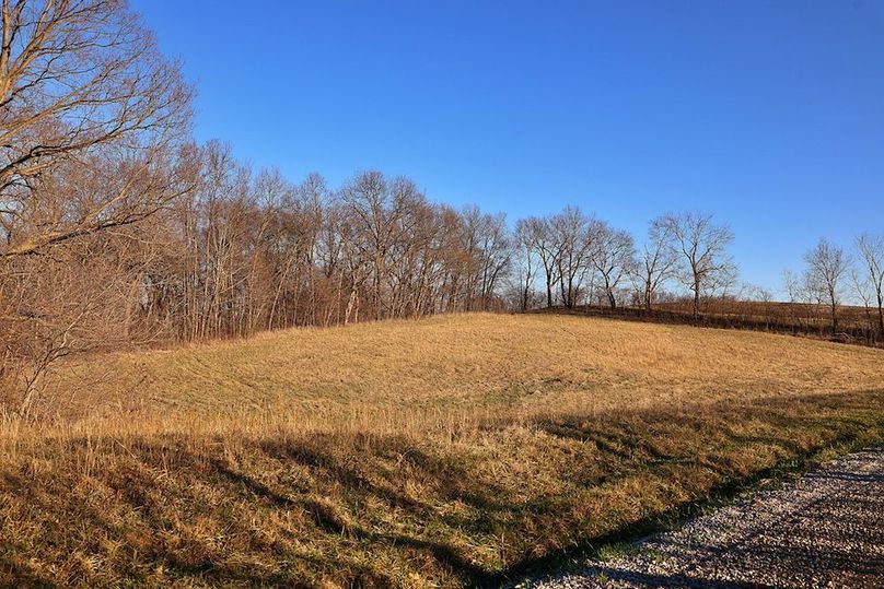 8 Buchanan 252.69 Tract 2