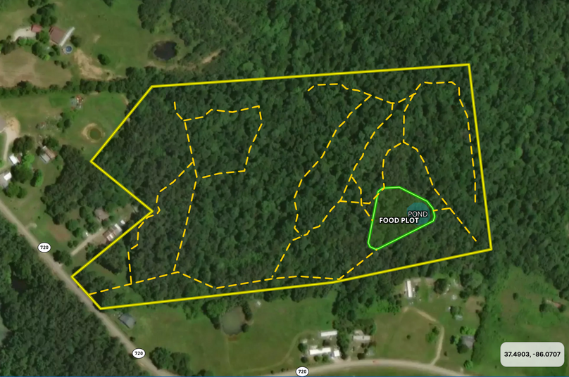 Screen Shot 2023-07-13 at 11.30.27 AM