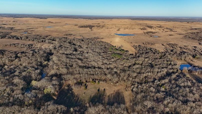 DJI_20250318091325_0042_D