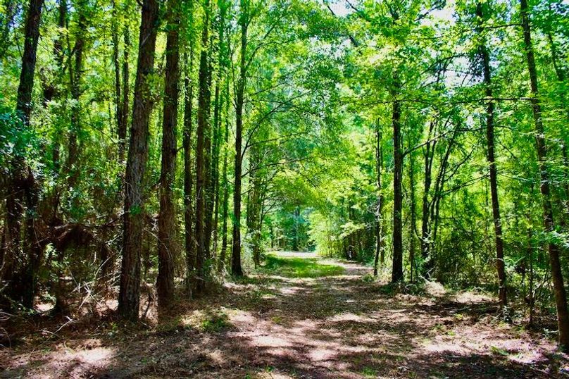 AD5D92A3-72B6-43A7-B207-091225E20460_1_105_c