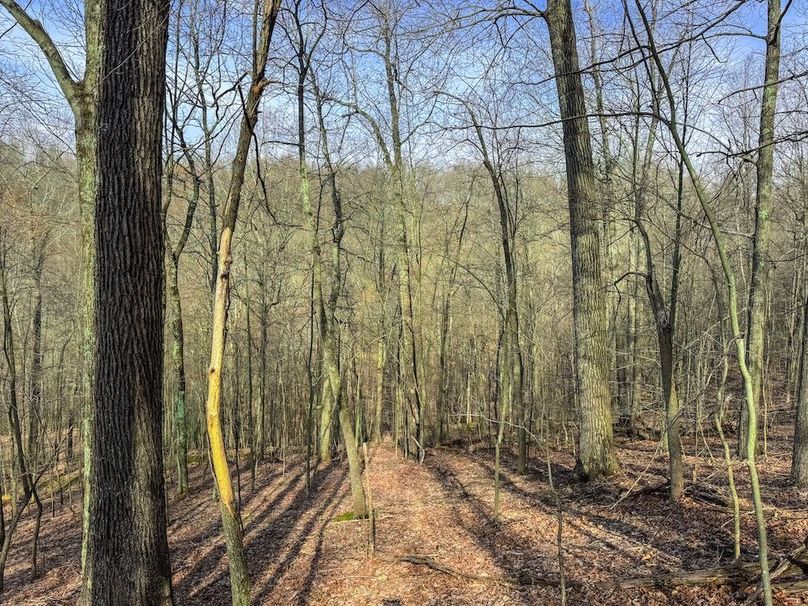 Ritchie, WV 206.08 AC Curriden-28