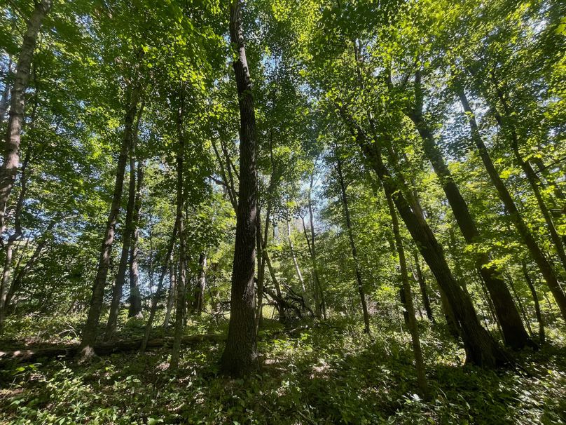 Grant 110 - 29 of 47