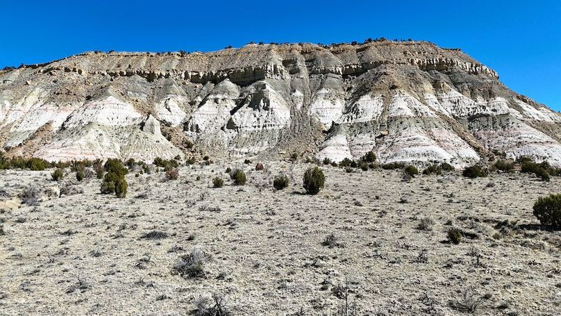 DJI_20240403111854_0157_D