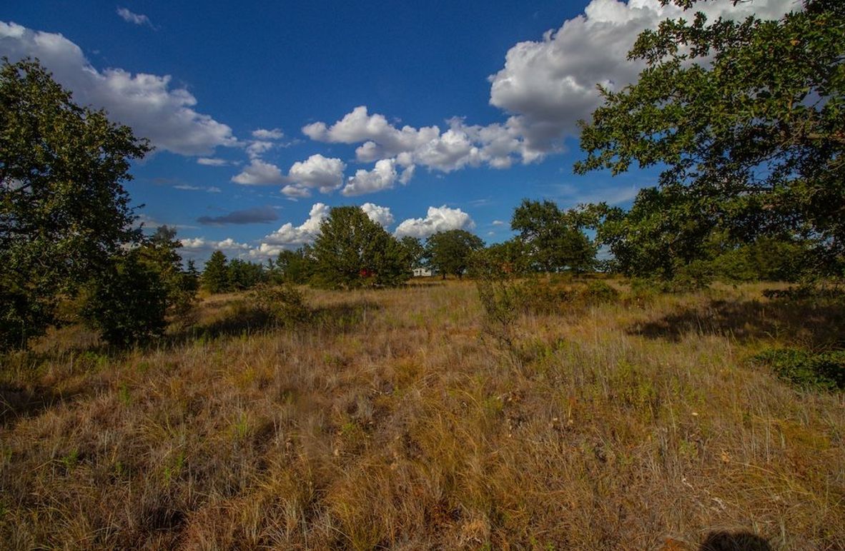 4. Scattered oaks and a view to the camper