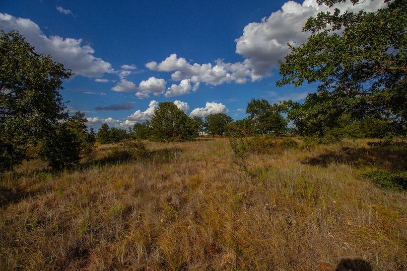 4. Scattered oaks and a view to the camper