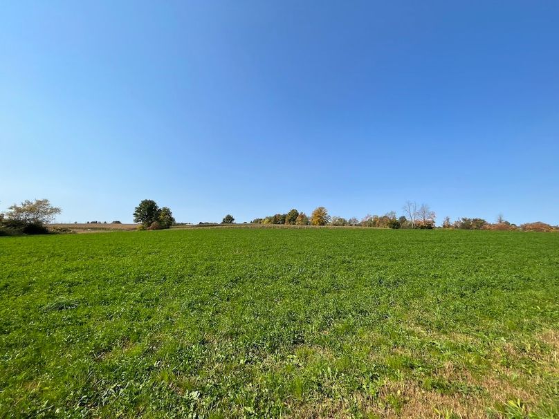 Yates_29_Stape Photo 22