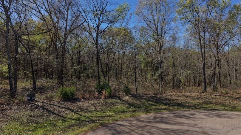 DJI_20260311011135_0030_D