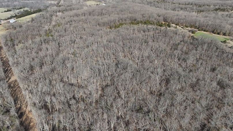 DJI_20250316085926_0037_D