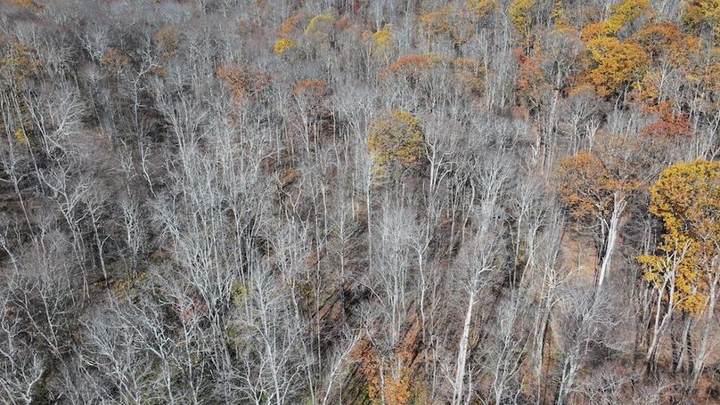 Somerset, 10.91, Tinkey-02