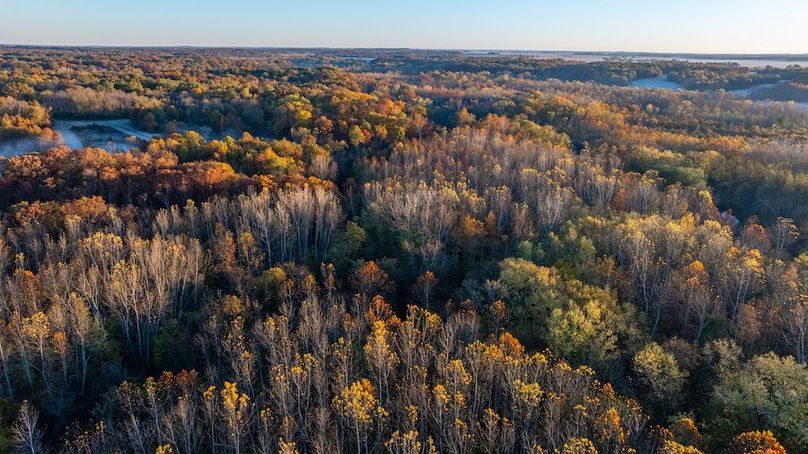 DJI_20251105181440_0035_D