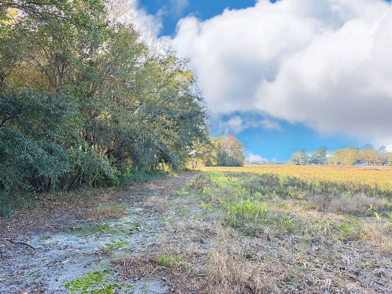 027BCCE9-D354-45C3-871D-1A0758BCB2AA