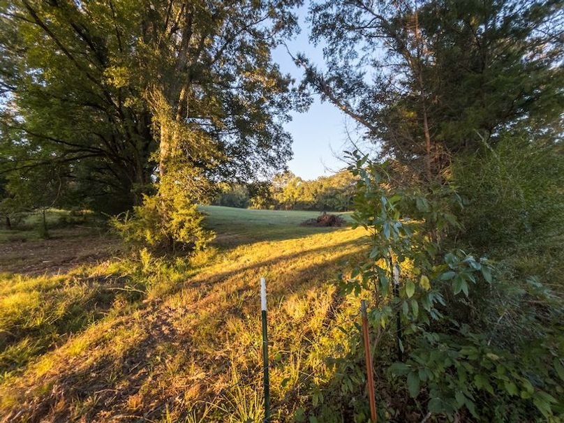 Hinds Co - 30 - Newman-19