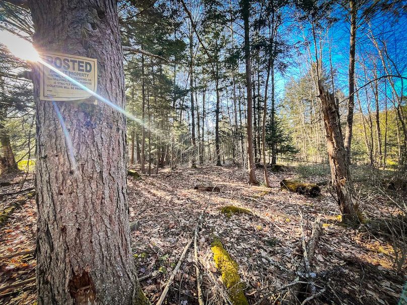 Oswego_17.88_Feld_Photos_37