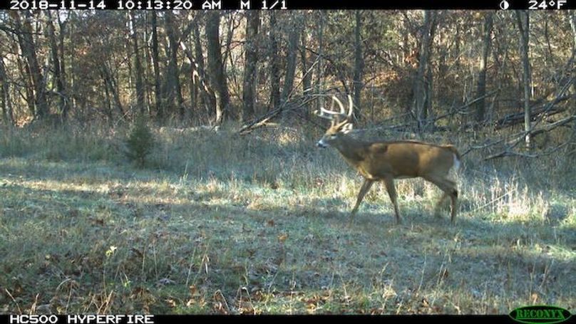 2018-11-14 10-13-20 M 1_1