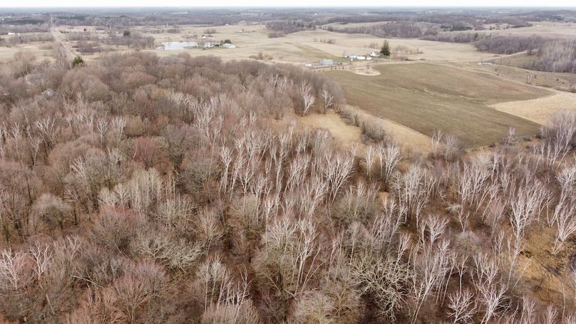 dji_fly_20240410_085838_277_1712757937761_photo_optimized