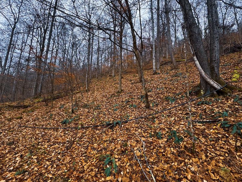 Ritchie, WV 100 AC Harper-26