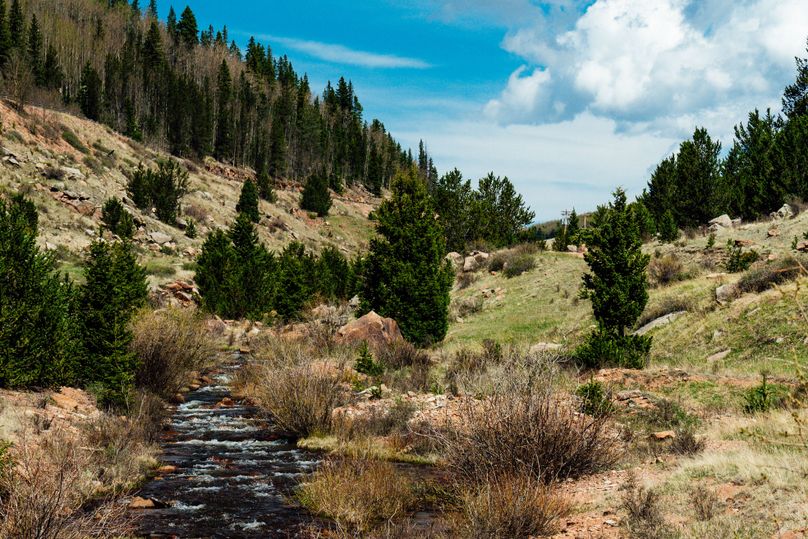 Teller 11.75 - 001.2 West Beaver Creek