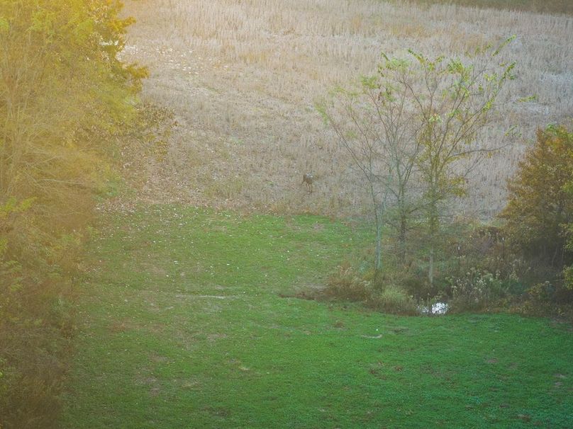 DJI_20251031075325_0058_D-HDR