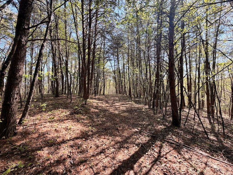 Monroe Co TN 44.66 Bolton_092