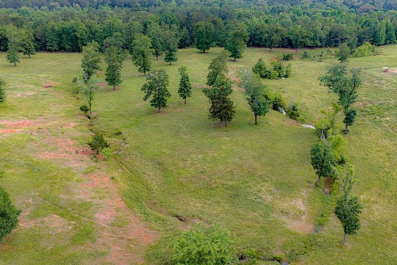 Holman Ranch-53
