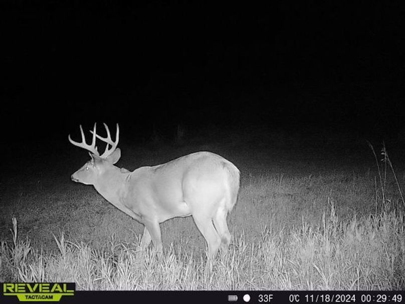 861641042572304-100-5-11182024002948-W1005251