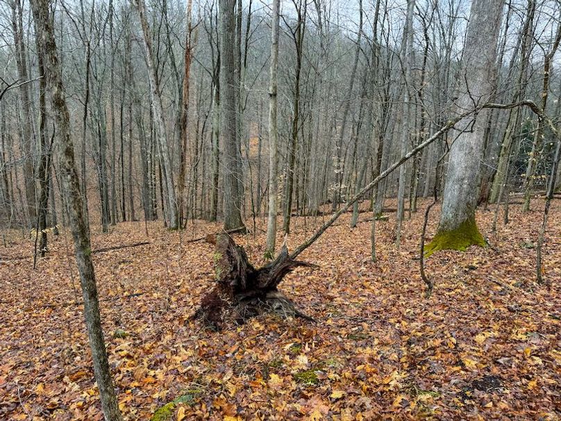 Ritchie, WV 64 AC Hall New Pics-25