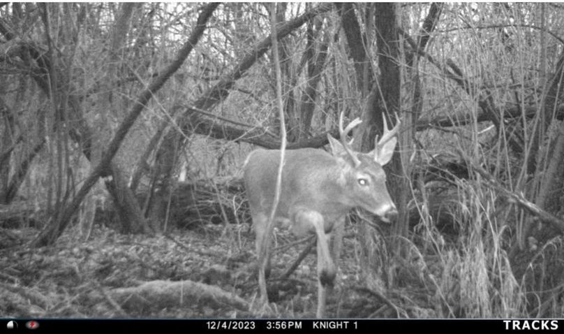 Screenshot_20240319_111212_Gallery