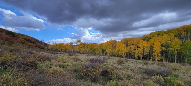 Copy of 20231011_114936