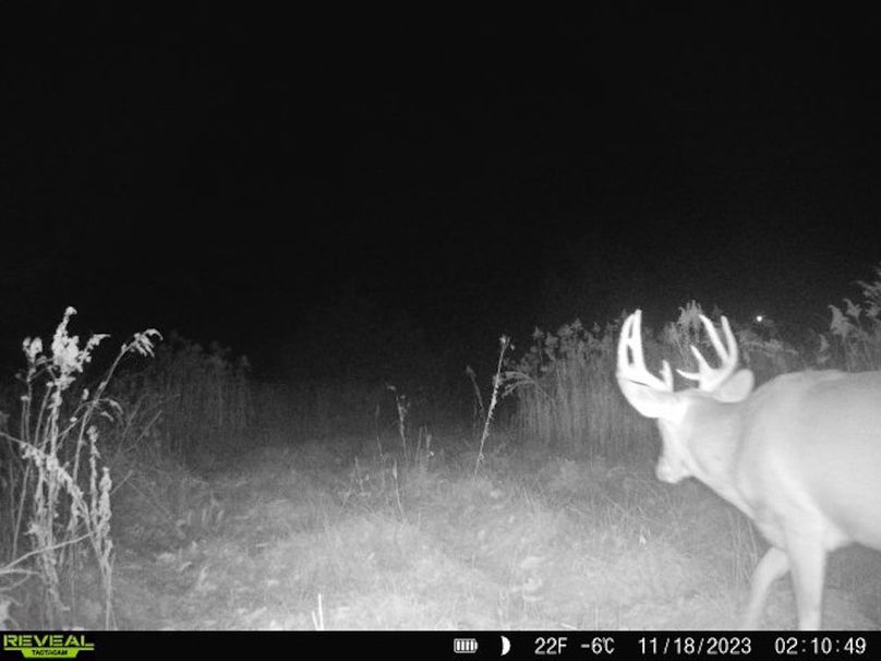 860322065128164-1-3-11182023021048-V-W1005830