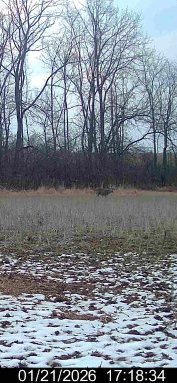 Screenshot 2026-02-27 at 3.57.08 PM